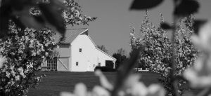 Farm
