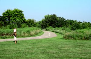 Path